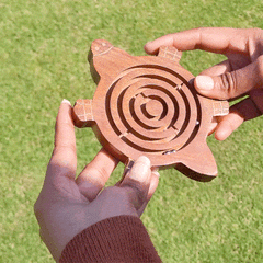Maze Puzzle Labyrinth Turtle | Kids wooden Games | Fun & Learning