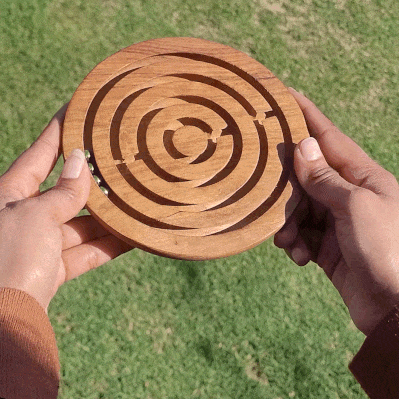 Maze Puzzle Labyrinth Circle Puzzle | Brain Teaser Games | Fun & Learning