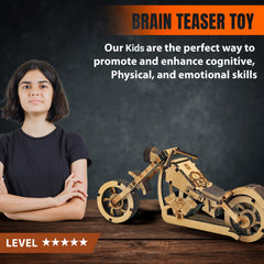 3-in-1 Wooden Puzzle Set | Brain Teaser Games | Fun & Learning